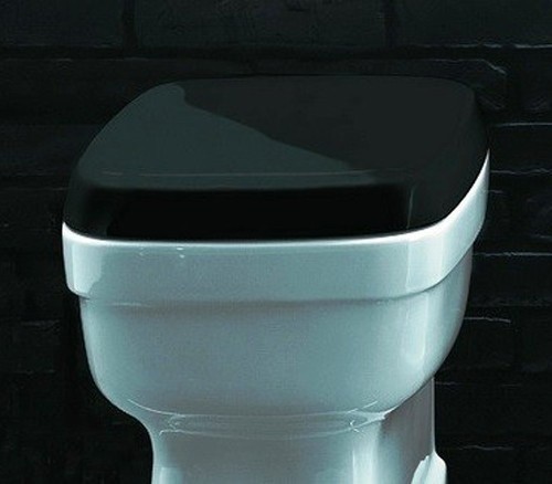 Сиденье с крышкой SIMAS EVOLUTION с микролифтом цвет черный петли хром EVO004.NE